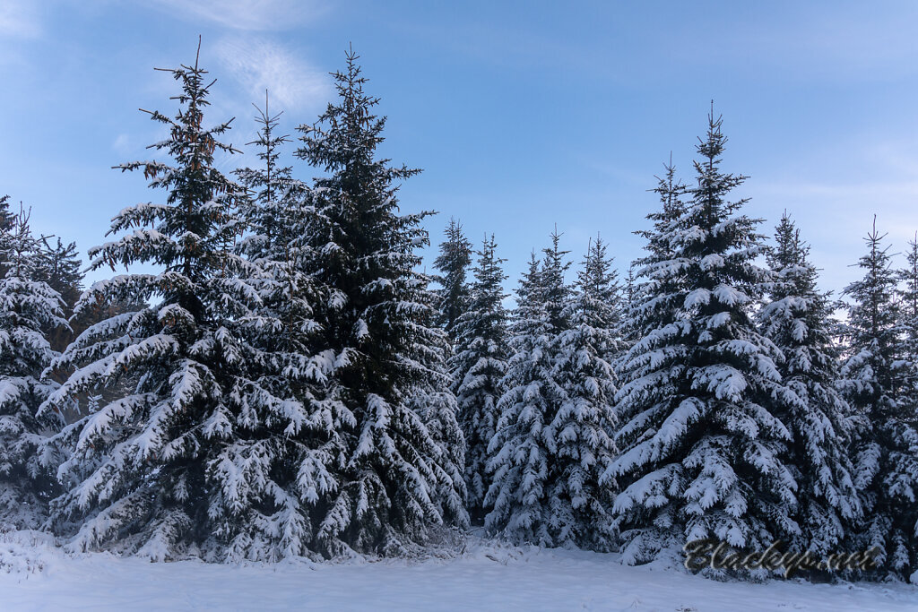 zz20201212-1551-1811.jpg