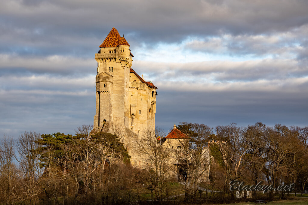 zz20220101-IMG-8098-HDR.jpg